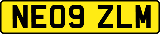 NE09ZLM