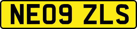NE09ZLS