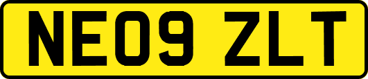 NE09ZLT