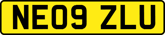 NE09ZLU