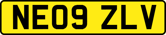 NE09ZLV