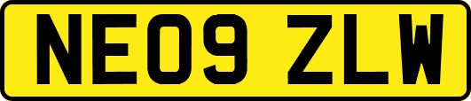 NE09ZLW