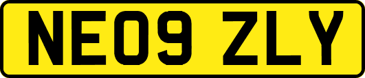 NE09ZLY