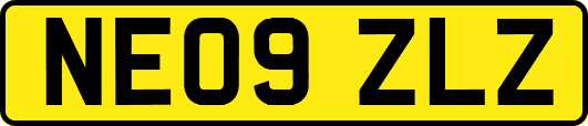 NE09ZLZ