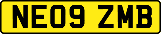 NE09ZMB