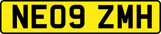 NE09ZMH