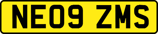NE09ZMS
