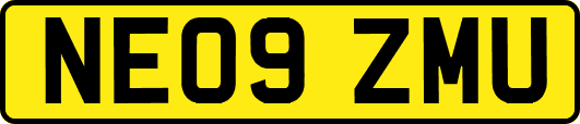 NE09ZMU