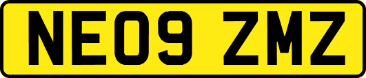 NE09ZMZ