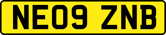 NE09ZNB