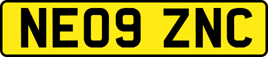 NE09ZNC