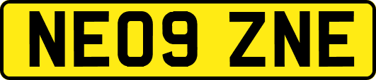 NE09ZNE