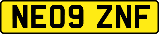 NE09ZNF