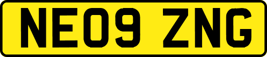 NE09ZNG