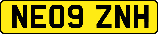 NE09ZNH