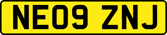 NE09ZNJ