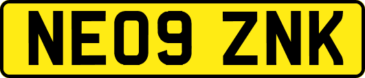 NE09ZNK