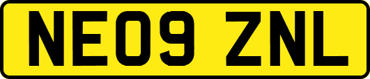 NE09ZNL