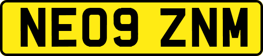 NE09ZNM