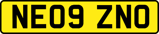 NE09ZNO