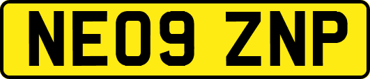 NE09ZNP