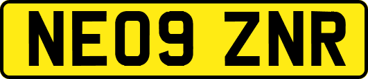 NE09ZNR