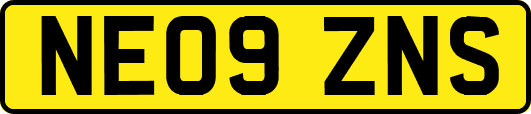NE09ZNS