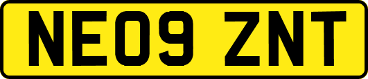 NE09ZNT