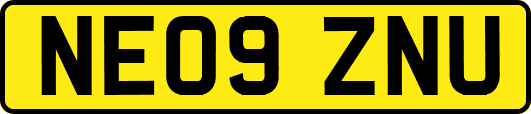 NE09ZNU