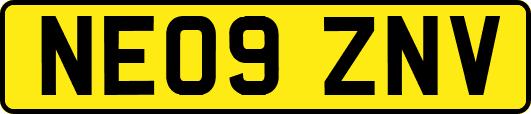 NE09ZNV