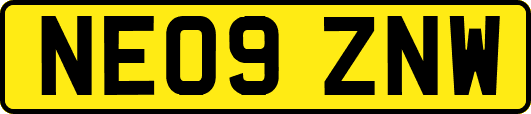 NE09ZNW