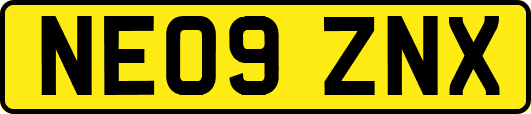 NE09ZNX
