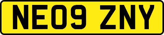 NE09ZNY