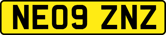 NE09ZNZ