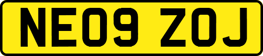 NE09ZOJ