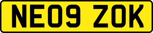 NE09ZOK