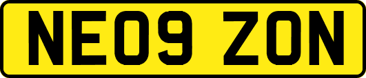 NE09ZON