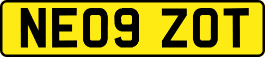 NE09ZOT