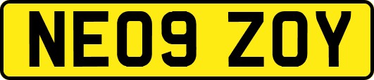 NE09ZOY