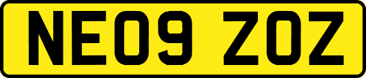 NE09ZOZ