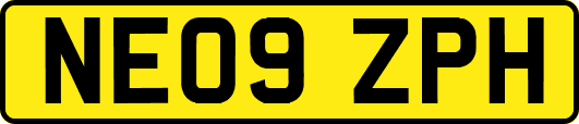 NE09ZPH