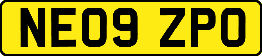 NE09ZPO
