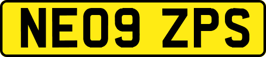 NE09ZPS