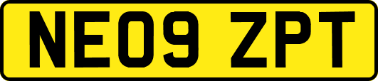 NE09ZPT