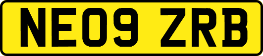 NE09ZRB