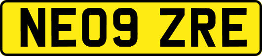 NE09ZRE