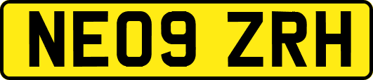 NE09ZRH