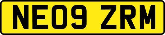 NE09ZRM