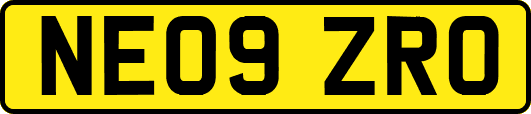 NE09ZRO