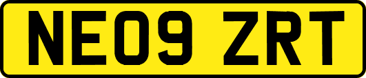 NE09ZRT